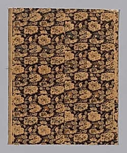 Fragment by Unknown