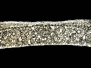 Fragment by Unknown