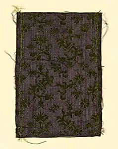 Fragment by Unknown