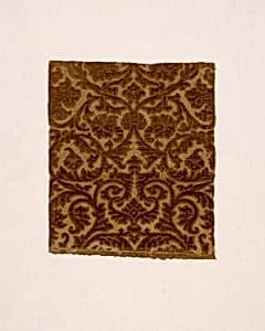 Fragment by Unknown