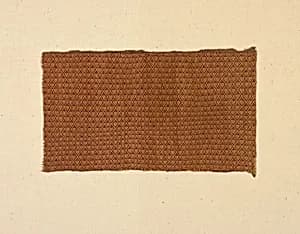 Fragment