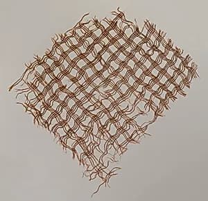 Fragment by Unknown
