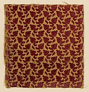 Fragment by Unknown