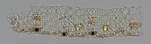 Fragment (Bonnet Trim) by Unknown
