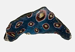 Fragment of a Bowl by Ancient Roman