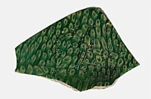 Fragment of a Bowl by Ancient Roman