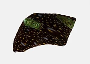 Fragment of a Bowl by Ancient Roman