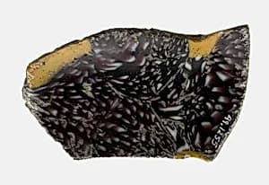 Fragment of a Bowl by Ancient Roman