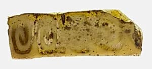 Fragment of a Plate by Ancient Roman
