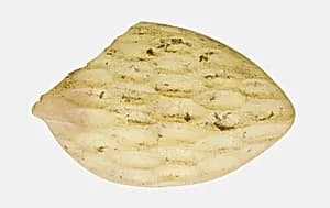 Fragment of a Spoon by Ancient Roman