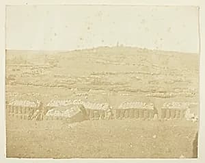 French Batteries and Works by James Robertson
