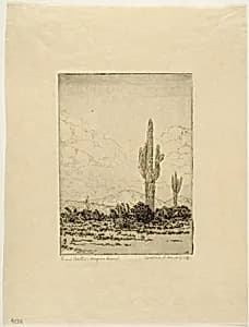 Giant Cactus, Arizona Desert by Wallace L. DeWolf