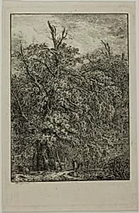 Great Tree
