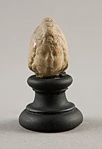 Head of a Child (?) by Ancient Greek