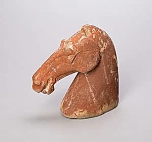 Head of a Horse by Unknown