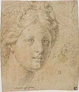 Head of a Woman by Antonio Balestra