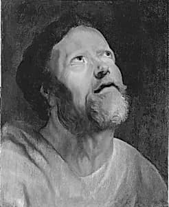 Portrait of Follower of Jacob Jordaens