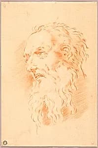 Head of Bearded Man