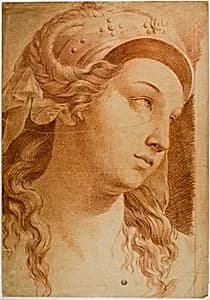 Head of Comity by Raphael