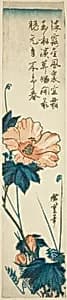 Hibiscus by Utagawa Hiroshige