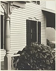 House and Grape Leaves by Alfred Stieglitz