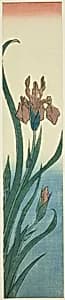 Iris by Utagawa Hiroshige