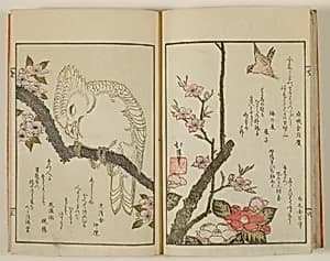Kyoka hyakucho Kocho by Totoya Hokkei