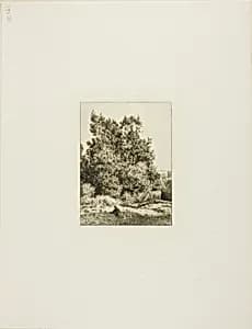 Landscape with Cowherd by Charles Émile Jacque