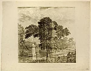Landscape with Tree by Mitterer