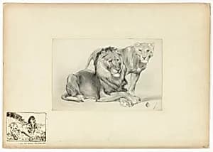 Lion and Lioness by Paul Friedrich Meyerheim