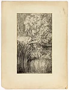 Little Pond in Woods by Unknown