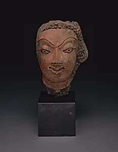 Male Head by Unknown