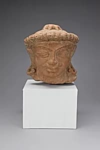 Male Head by Unknown