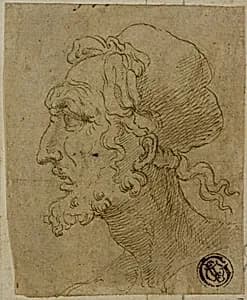 Male Head in Profile by Baldassare Peruzzi