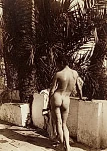 Male Nude by Wilhelm von Gloeden