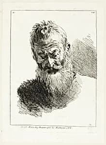 Man's Head