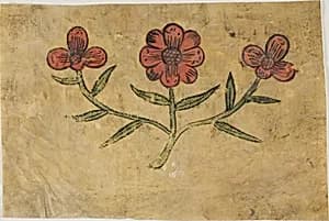 Manuscript Cutting with Flowers by Unknown