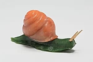 Miniature Snail