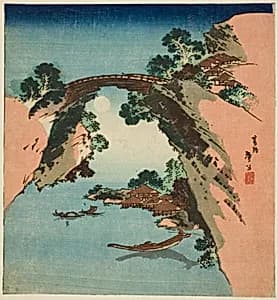 Monkey Bridge