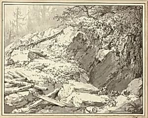 Mountainside with Fallen Tree
