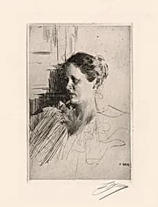 Mrs. Nagel by Anders Zorn