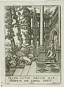 Narcissus