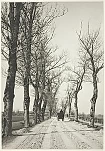 November Days by Alfred Stieglitz