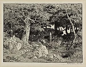 Oak from Rocks by Théodore Rousseau