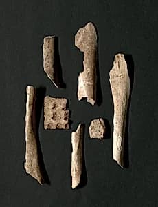 Oracle Bones (76 total) by Unknown