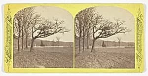 Orphans' Home by W.G.C. Kimball