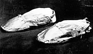 Pair of Children's Slippers by Unknown