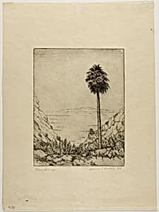 Palm Springs