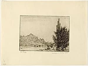 Palo Verde