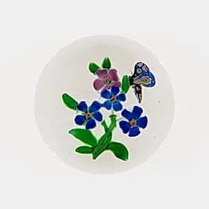 Paperweight by Compagnie de Saint Louis